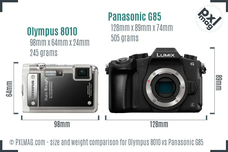 Olympus 8010 vs Panasonic G85 size comparison