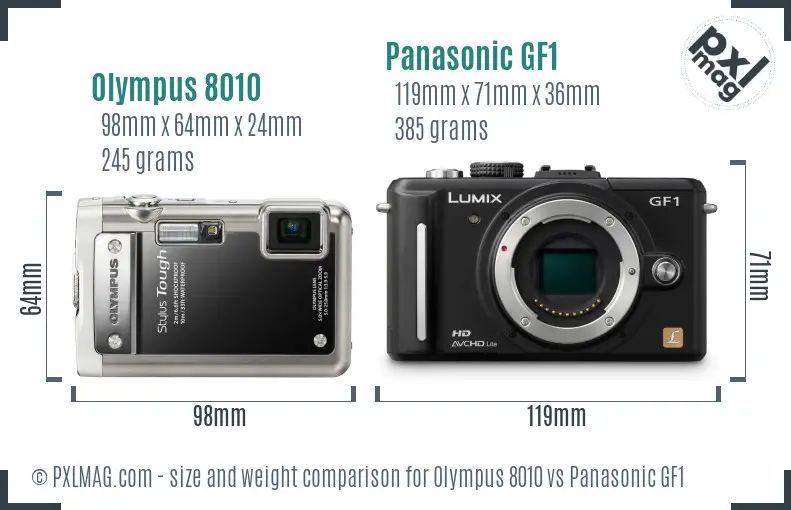 Olympus 8010 vs Panasonic GF1 size comparison