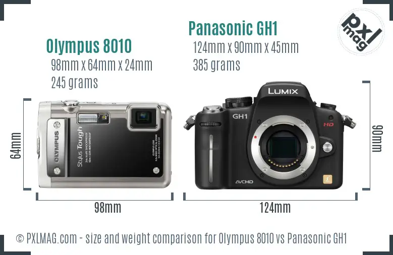 Olympus 8010 vs Panasonic GH1 size comparison Olympus 8010 vs Panasonic GH1 size comparison