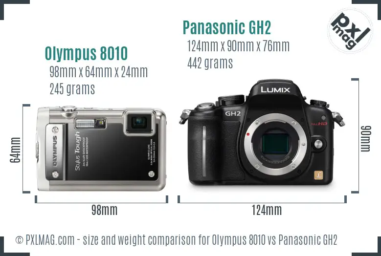 Olympus 8010 vs Panasonic GH2 size comparison