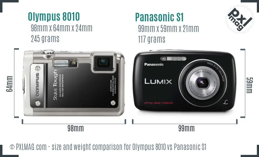 Olympus 8010 vs Panasonic S1 size comparison