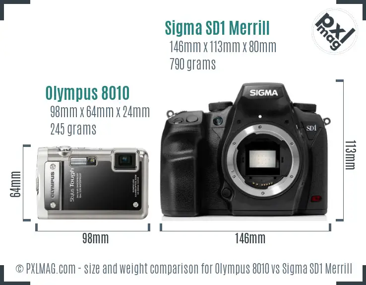 Olympus 8010 vs Sigma SD1 Merrill size comparison Olympus 8010 vs Sigma SD1 Merrill size comparison