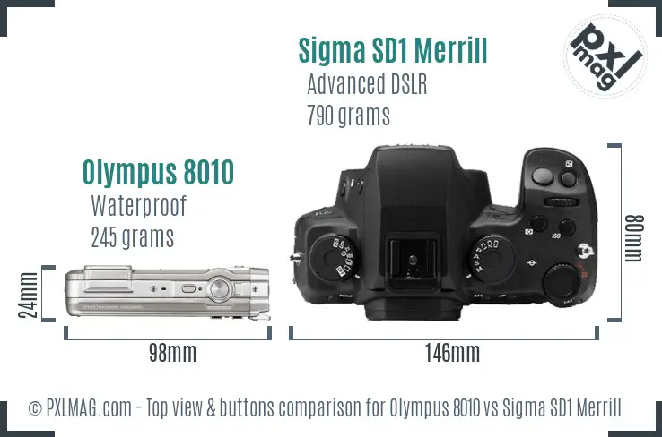 Olympus 8010 vs Sigma SD1 Merrill top view buttons comparison Olympus 8010 vs Sigma SD1 Merrill top view buttons comparison