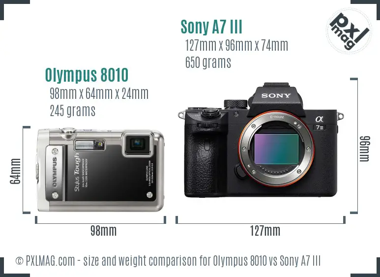Olympus 8010 vs Sony A7 III size comparison