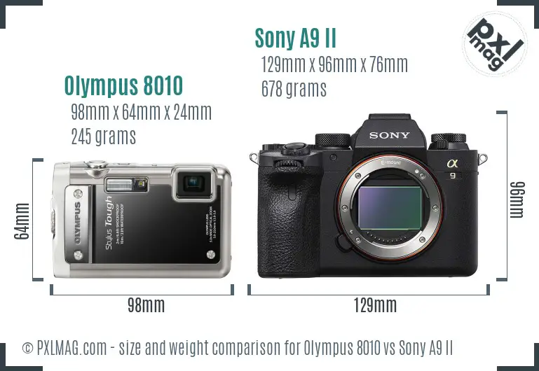 Olympus 8010 vs Sony A9 II size comparison