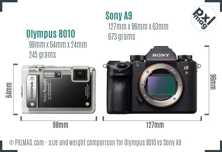 Olympus 8010 vs Sony A9 size comparison