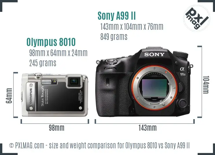 Olympus 8010 vs Sony A99 II size comparison