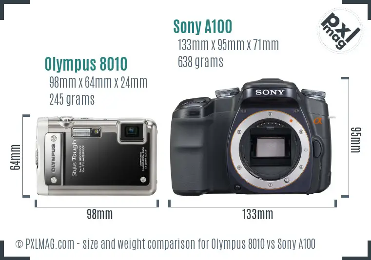 Olympus 8010 vs Sony A100 size comparison