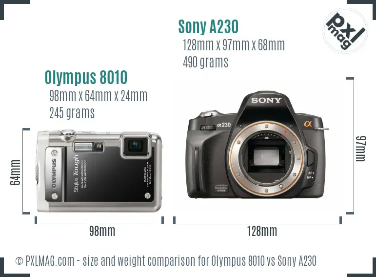 Olympus 8010 vs Sony A230 size comparison