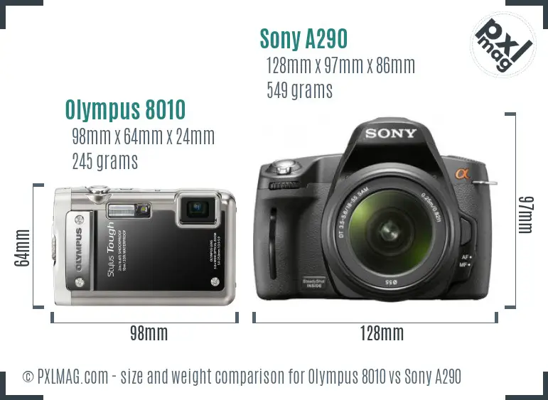 Olympus 8010 vs Sony A290 size comparison