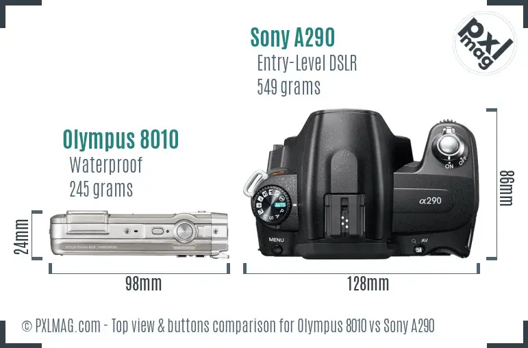 Olympus 8010 vs Sony A290 top view buttons comparison
