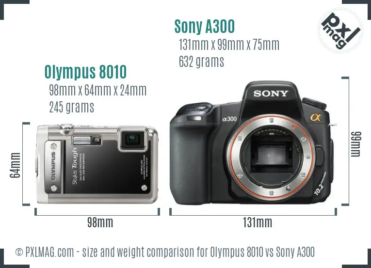 Olympus 8010 vs Sony A300 size comparison