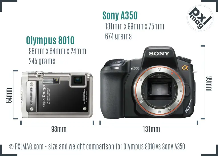 Olympus 8010 vs Sony A350 size comparison