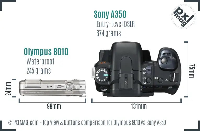 Olympus 8010 vs Sony A350 top view buttons comparison
