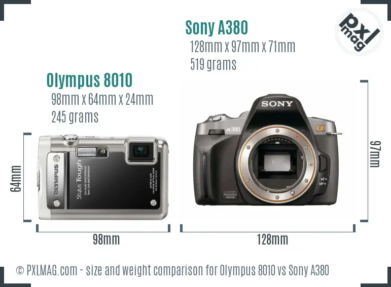 Olympus 8010 vs Sony A380 size comparison