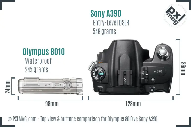 Olympus 8010 vs Sony A390 top view buttons comparison
