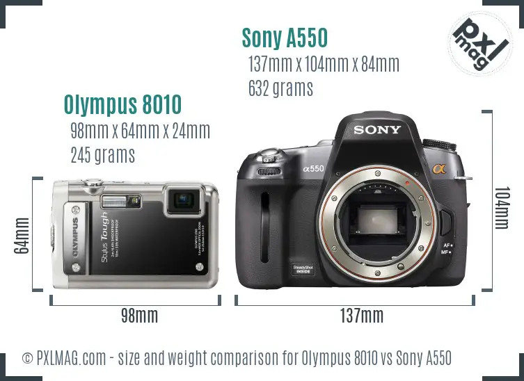 Olympus 8010 vs Sony A550 size comparison