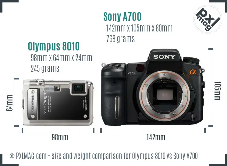 Olympus 8010 vs Sony A700 size comparison