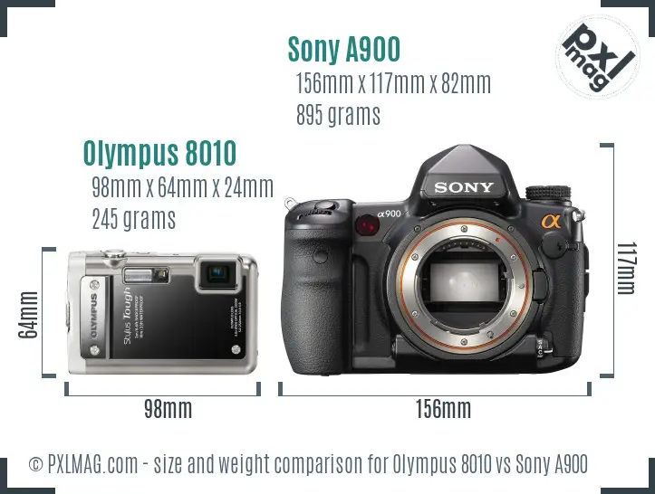 Olympus 8010 vs Sony A900 size comparison