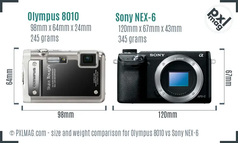 Olympus 8010 vs Sony NEX-6 size comparison