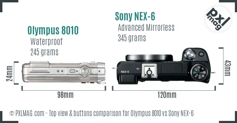 Olympus 8010 vs Sony NEX-6 top view buttons comparison
