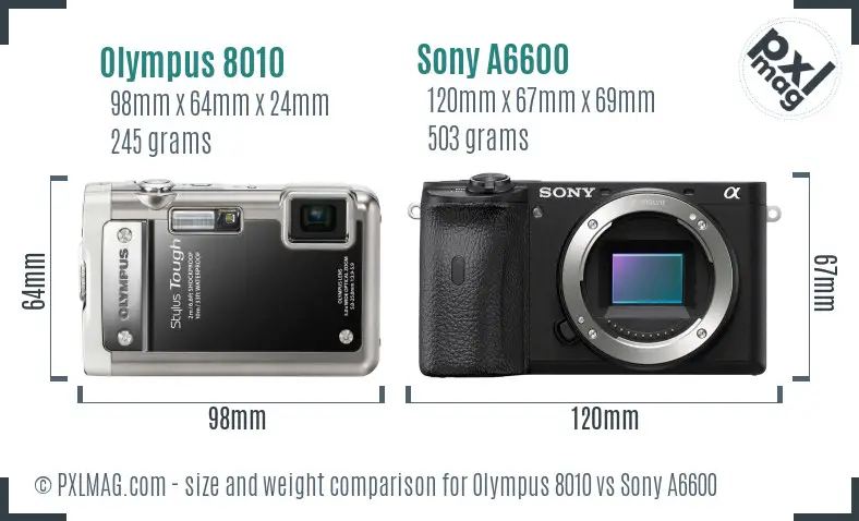 Olympus 8010 vs Sony A6600 size comparison