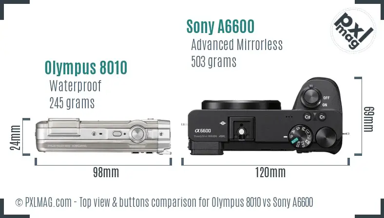 Olympus 8010 vs Sony A6600 top view buttons comparison