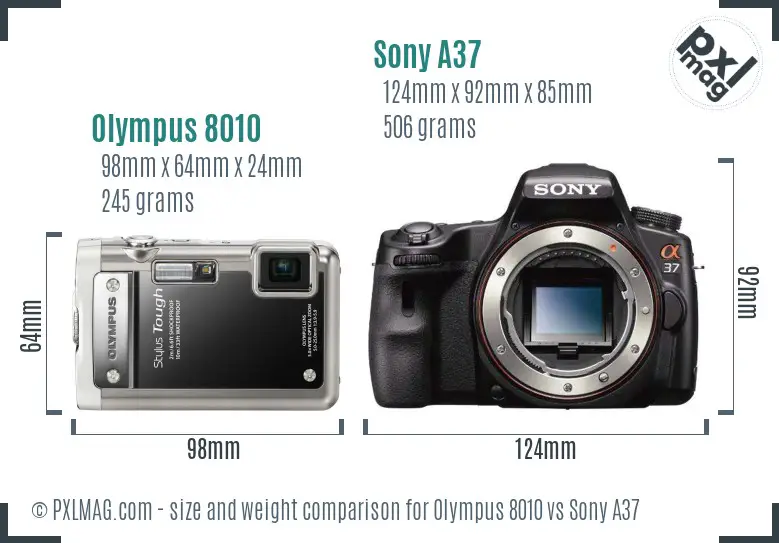 Olympus 8010 vs Sony A37 size comparison