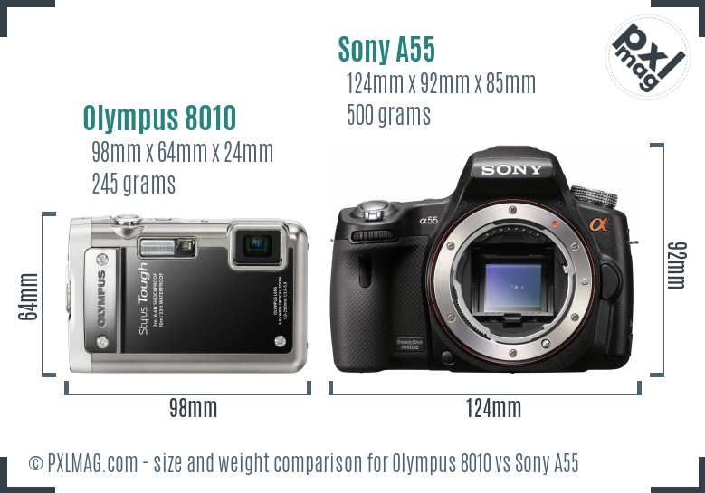 Olympus 8010 vs Sony A55 size comparison