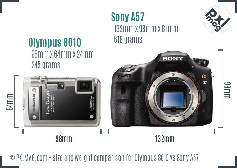 Olympus 8010 vs Sony A57 size comparison