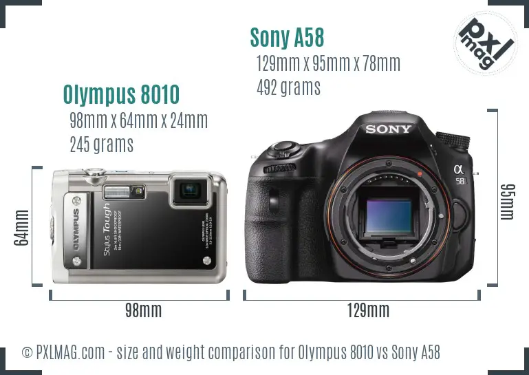 Olympus 8010 vs Sony A58 size comparison