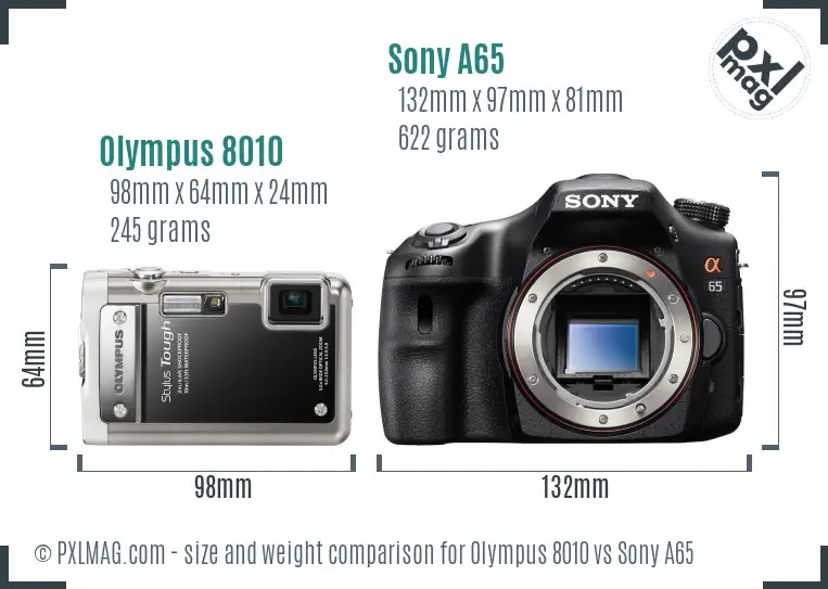 Olympus 8010 vs Sony A65 size comparison