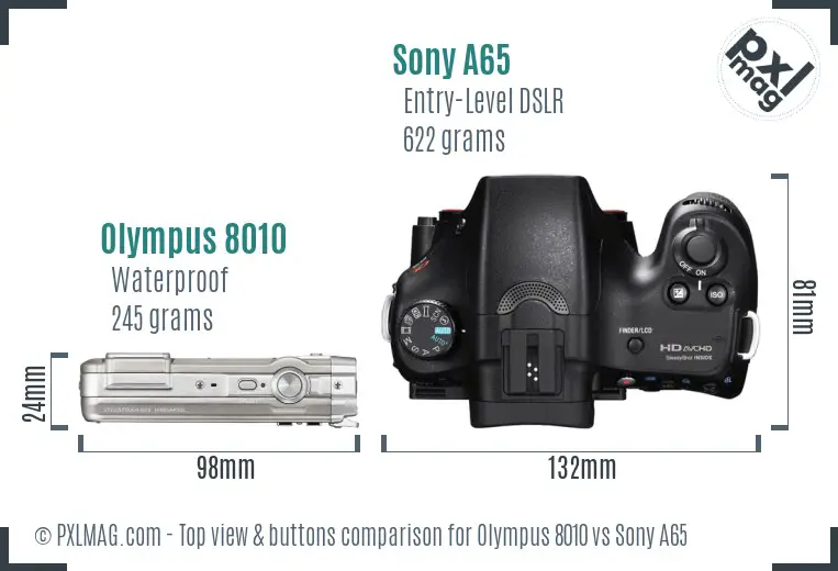 Olympus 8010 vs Sony A65 top view buttons comparison