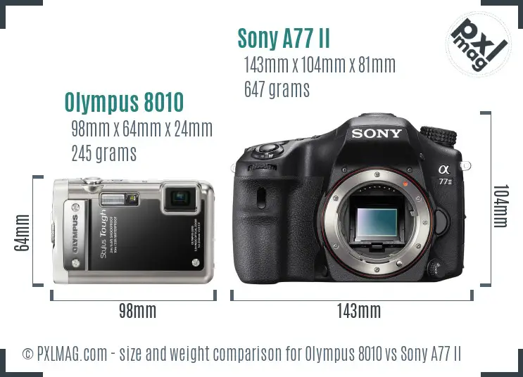 Olympus 8010 vs Sony A77 II size comparison