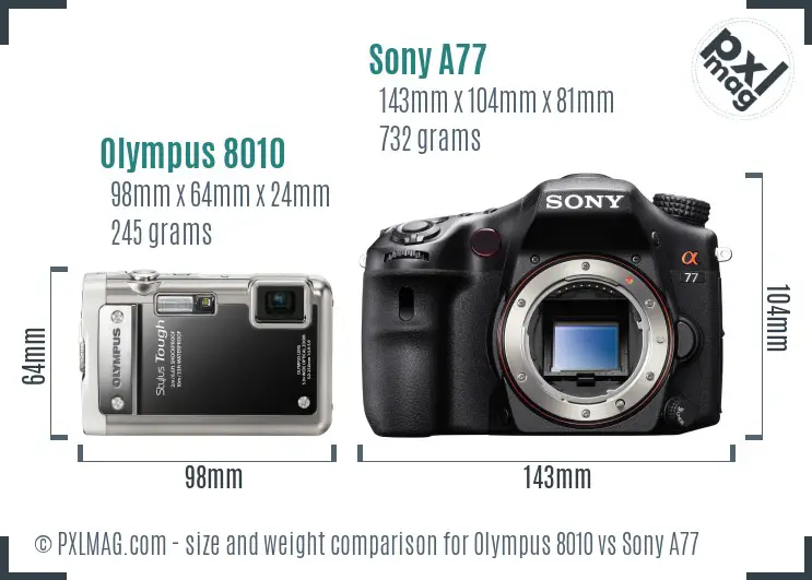 Olympus 8010 vs Sony A77 size comparison