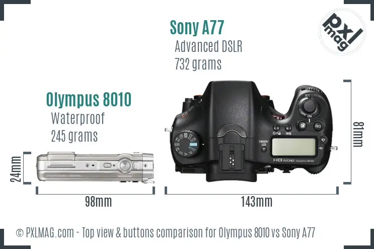 Olympus 8010 vs Sony A77 top view buttons comparison