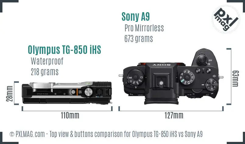 Olympus TG-850 iHS vs Sony A9 top view buttons comparison