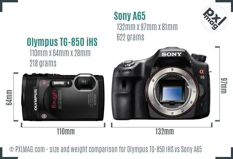 Olympus TG-850 iHS vs Sony A65 size comparison