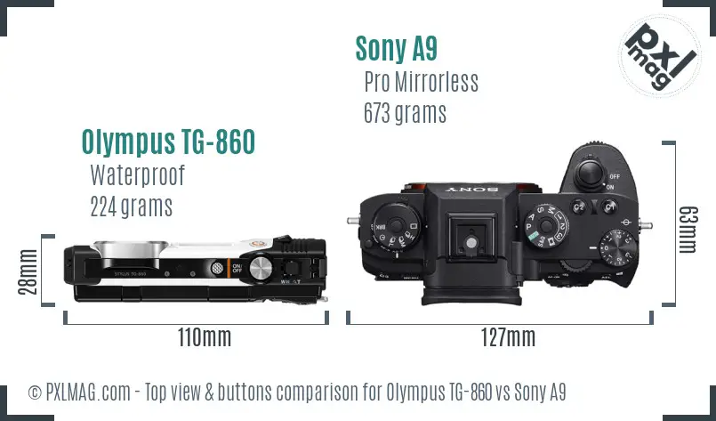 Olympus TG-860 vs Sony A9 top view buttons comparison