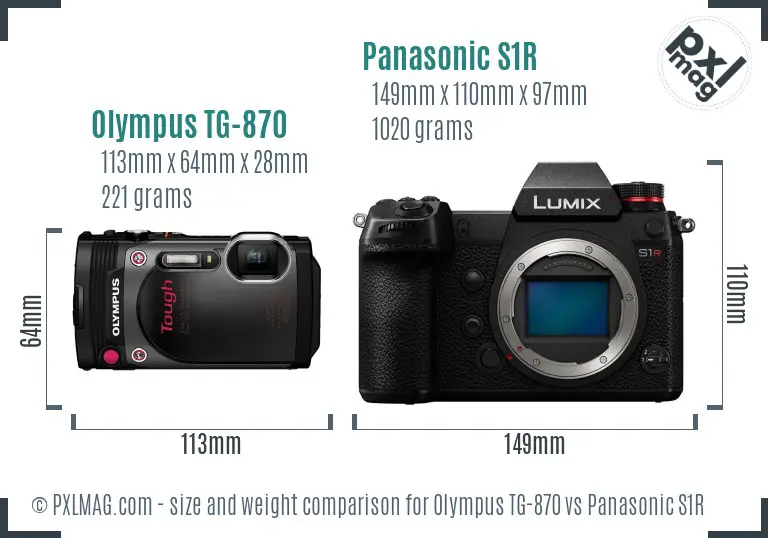 Olympus TG-870 vs Panasonic S1R size comparison