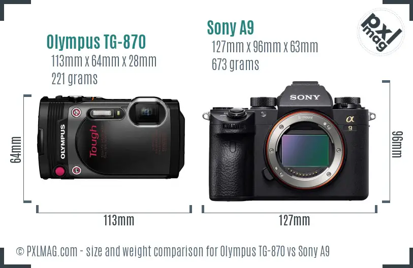 Olympus TG-870 vs Sony A9 size comparison