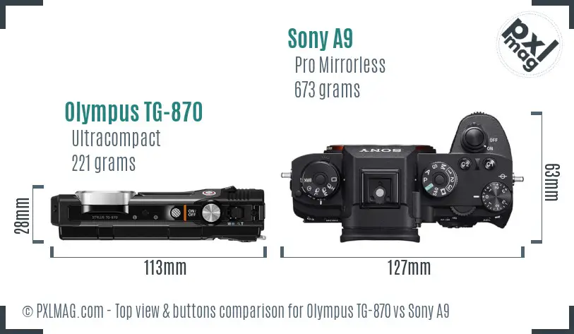 Olympus TG-870 vs Sony A9 top view buttons comparison