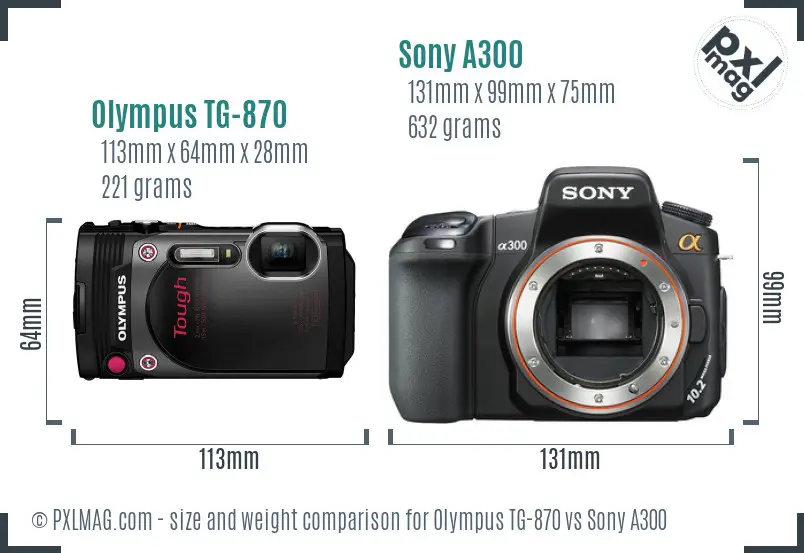 Olympus TG-870 vs Sony A300 size comparison