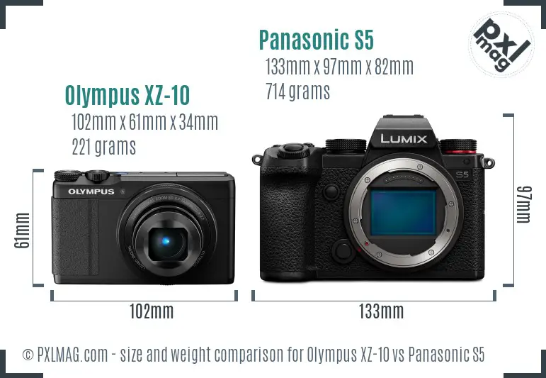 Olympus XZ-10 vs Panasonic S5 size comparison