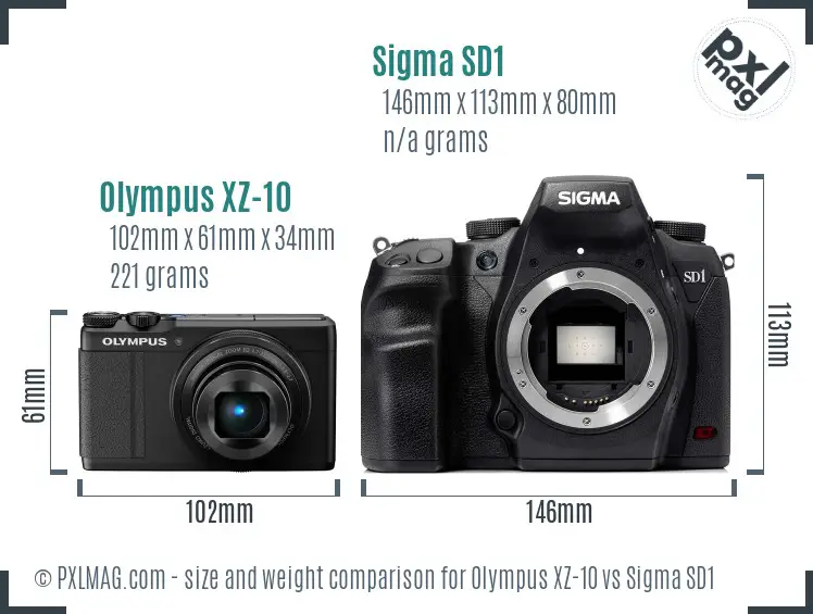 Olympus XZ-10 vs Sigma SD1 size comparison