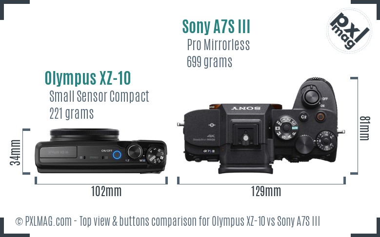 Olympus XZ-10 vs Sony A7S III top view buttons comparison