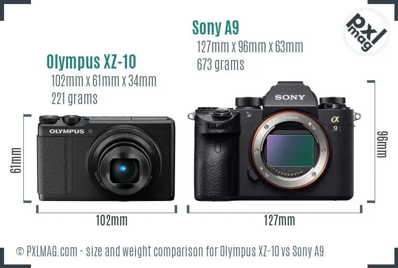 Olympus XZ-10 vs Sony A9 size comparison