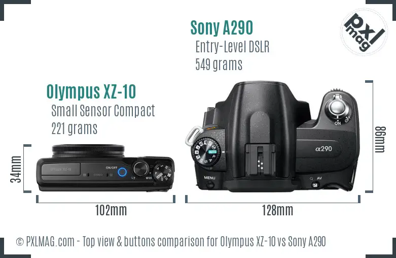 Olympus XZ-10 vs Sony A290 top view buttons comparison