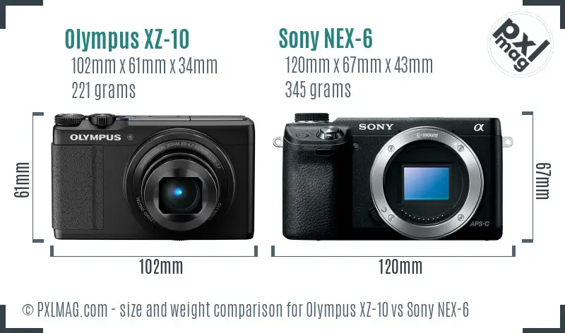 Olympus XZ-10 vs Sony NEX-6 size comparison