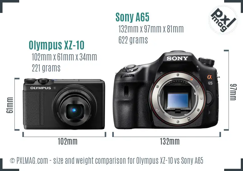 Olympus XZ-10 vs Sony A65 size comparison